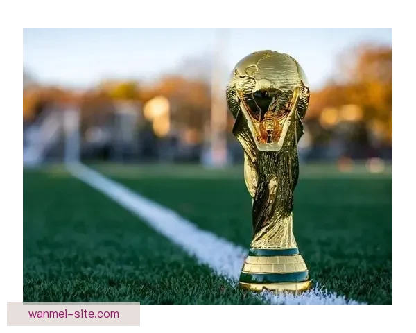美加墨世界杯筹备全景解析赛事亮点与东道国影响